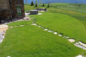 Native ECO Lawn and Gardens